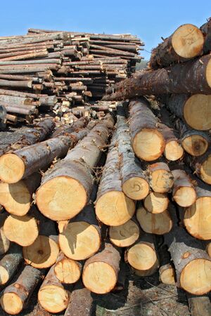 Wood preparation