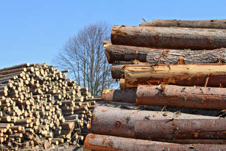 Wood preparation