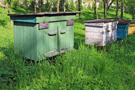Apiary on a slope  