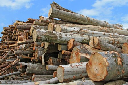Wood preparation
