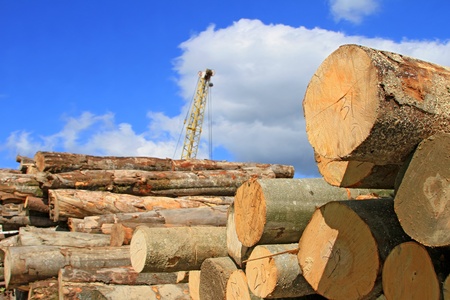 Wood preparationの写真素材