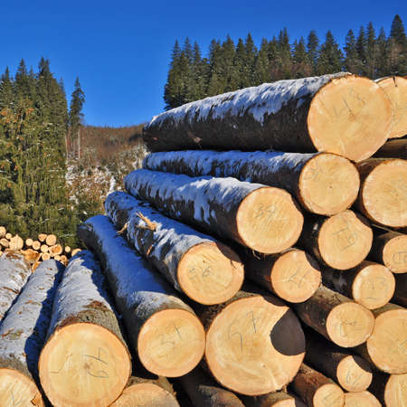 Wood preparation