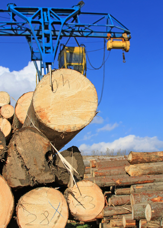 Wood preparationの写真素材