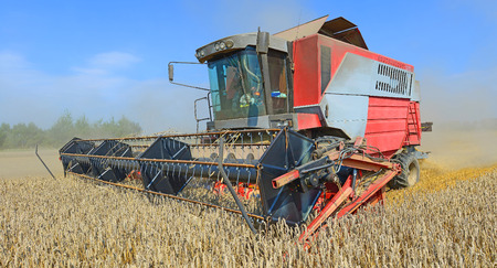 Grain harvesting combine