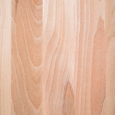Part of the design of glued hardwood treeの写真素材