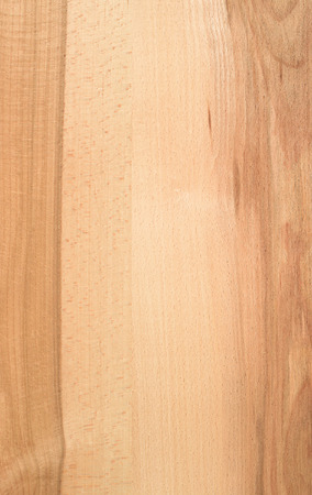 Part of the design of glued hardwood treeの写真素材