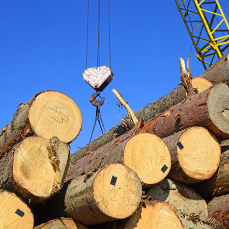 Wood preparation