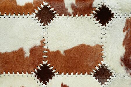 Detail from cow skin rugの写真素材
