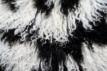 The manufactured skin of a sheepの写真素材