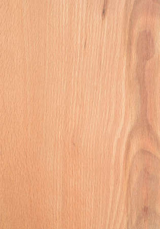 A fragment of a wooden panel hardwoodの写真素材