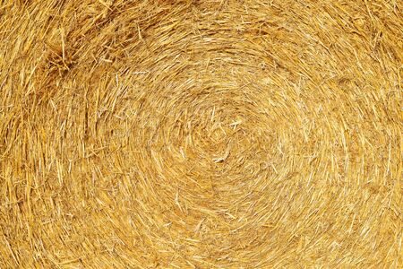 Texture of straw bale