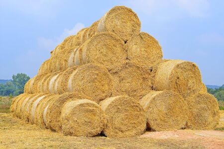 Bales of straw on the ground storage