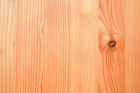 A fragment of a wooden panel hardwoodの写真素材