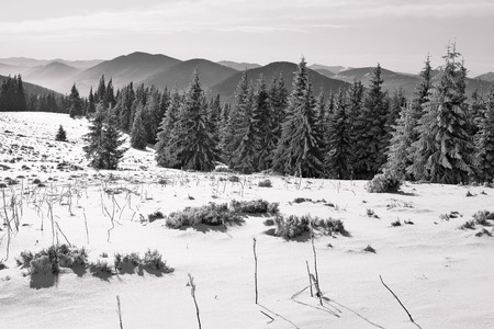 Winter in mountainsの写真素材