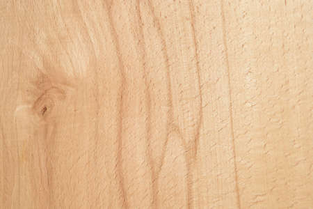 The texture of beech woodの写真素材