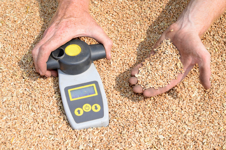 Determination of moisture content of grain yield in field conditionsの写真素材
