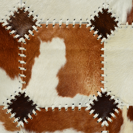 Detail from cow skin rugの写真素材