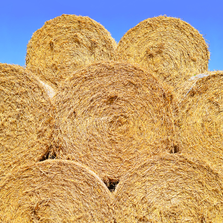 Bales of straw on the ground storageの写真素材