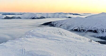 Winter evening in the Carpathians