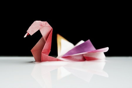 Origami Swan Floating on a White Pond With a Black Background