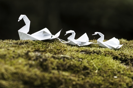 Origami Swans Resting on a Green Mossy Lakeの写真素材