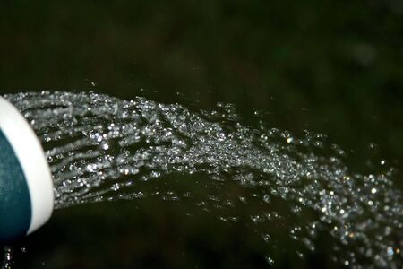 Don't forget to waterの写真素材