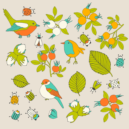 Spring collection with berries and birds. For you design.のイラスト素材