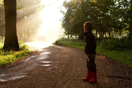 sun through trees with boy on pathの写真素材