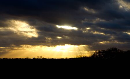 sunset over trees in an english fieldの写真素材