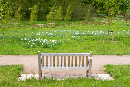 bench in an English Countryside sceneの写真素材