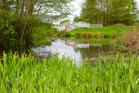 view across the pond in an Enlish country sceneの写真素材