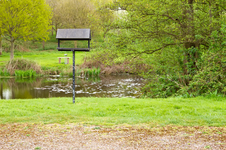 peaceful nature area with lake and bird tableの写真素材