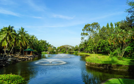 Fountain in the artificial pond, Vietnamの写真素材