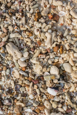 Sea sand texture made of shell and stone piecesの写真素材