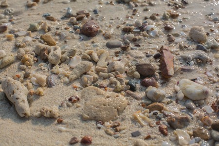 Sea sand texture made of shell and stone piecesの写真素材