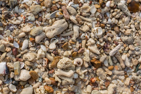 Sea sand texture made of shell and stone piecesの写真素材