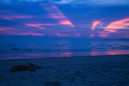 Amazing Deeply purple sunset. Sea and sky. の写真素材