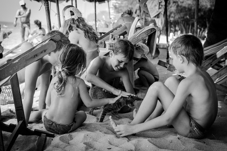 Kids are plaing with cat on the beachのeditorial素材
