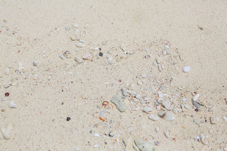 Texture of white sand, seashells and stones.の写真素材