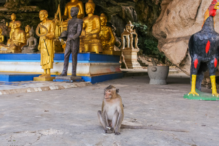 Monkey seats on the buddist statue. Thailand.の写真素材