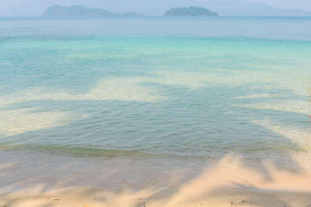 Palm tree shadow on the water in tropical beachの写真素材