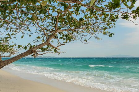 Green tree on  white sand beach. Island in Thailand.