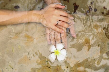 Hand of the groom and the bride with wedding rings in a swimming pool with plumeria flower.の写真素材