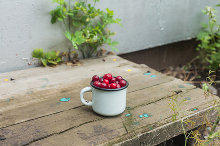 Fresh cherries in an old iron cup on a wooden tableの写真素材