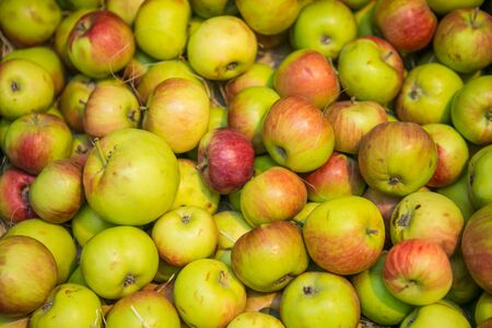 Closeup red, green and yellow apples backgroundの写真素材