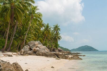 Tropical white sand beach of the island