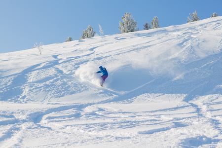 Snowboarder riding fresh snow powder in mountains.の写真素材