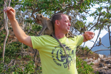Monkey Island, Thailand - February 01, 2015 :: Caucasian tourists in Thailand on the Monkey Isaland with wild monkeys.のeditorial素材