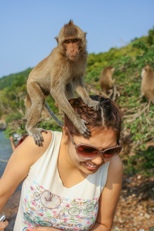 Monkey Island, Thailand - February 01, 2015 :: Caucasian tourists in Thailand on the Monkey Isaland with wild monkeys.のeditorial素材