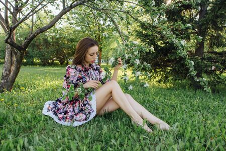 Beautiful young woman in dress sitting under the blooming apple tree.の写真素材